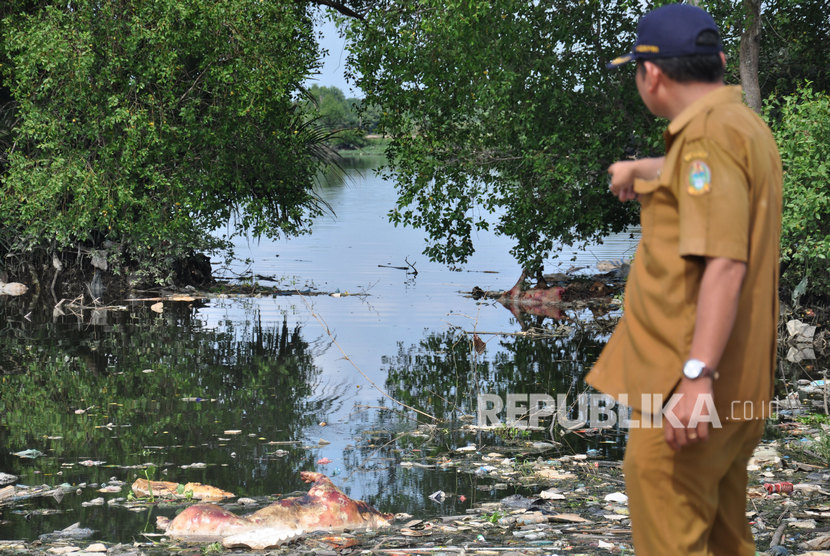 Petugas Dinas Ketahanan Pangan dan Peternakan Sumut mengamati bangkai babi yang dibuang pemiliknya di Danau Siombak Marelan, Medan, Sumatera Utara, Senin (11/11/2019).
