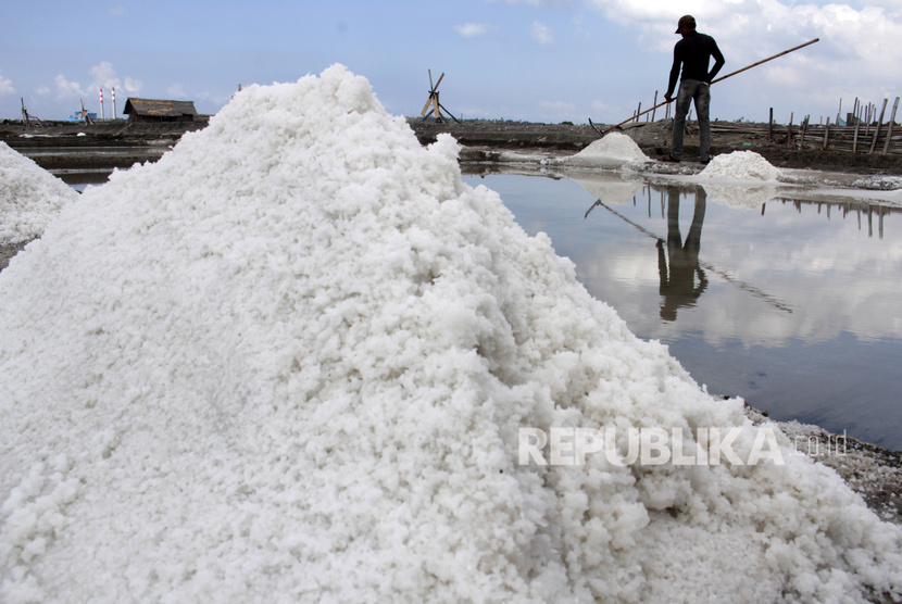 Petani memanen garam di Kelurahan Pallengu, Bangkala, Jeneponto, Sulawesi Selatan, Ahad (17/11/2019). 