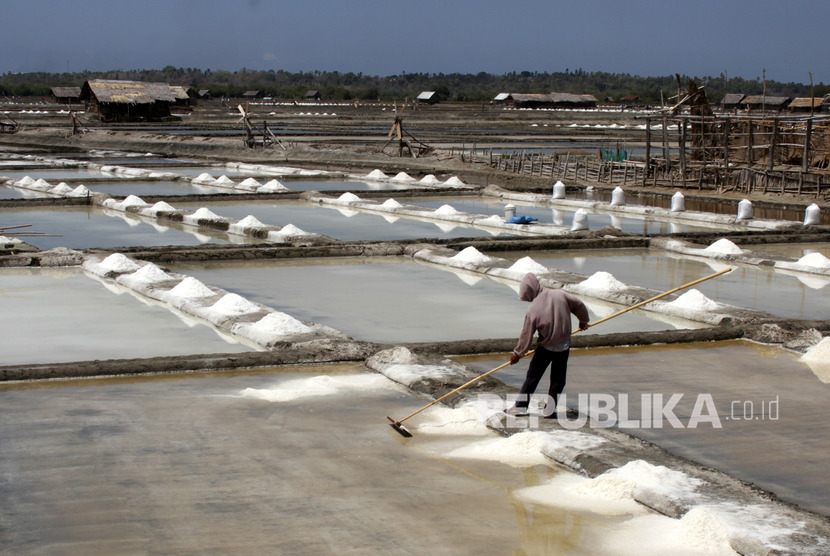 Petani memanen garam di Kelurahan Pallengu, Bangkala, Jeneponto, Sulawesi Selatan. ilustrasi 