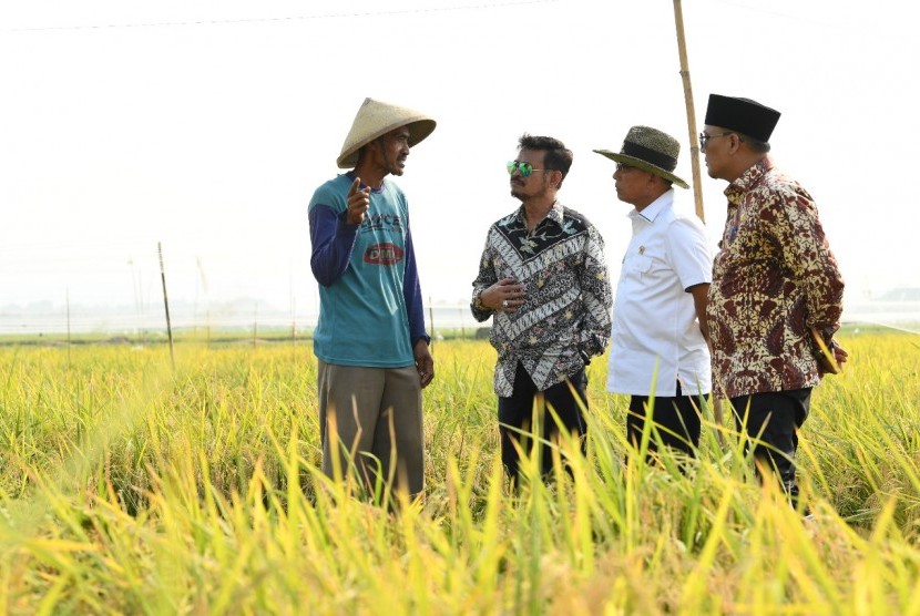 Menteri Pertanian Shahrul Yasin Limpo mengunjungi petani. 