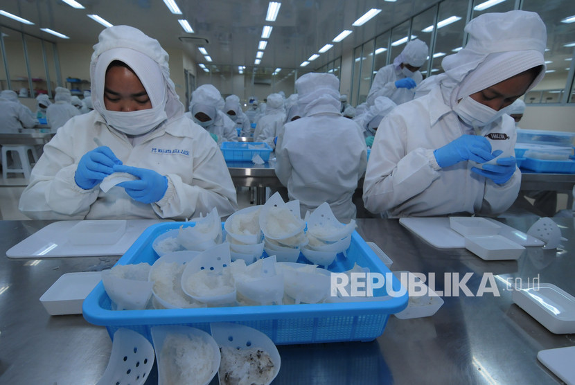 Sejumlah pekerja membersihkan sarang burung walet di PT Waleta Asia Jaya, Tingkir, Salatiga, Jawa Tengah.