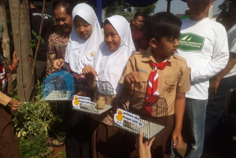 Wali Kota Bandung, Oded M Danial secara simbolis resmi meluncurkan program pembagian 10 ekor anak ayam kepada siswa SD dan SMP. Kini program tersebut dilanjutkan untuk keluarga (ilustrasi)