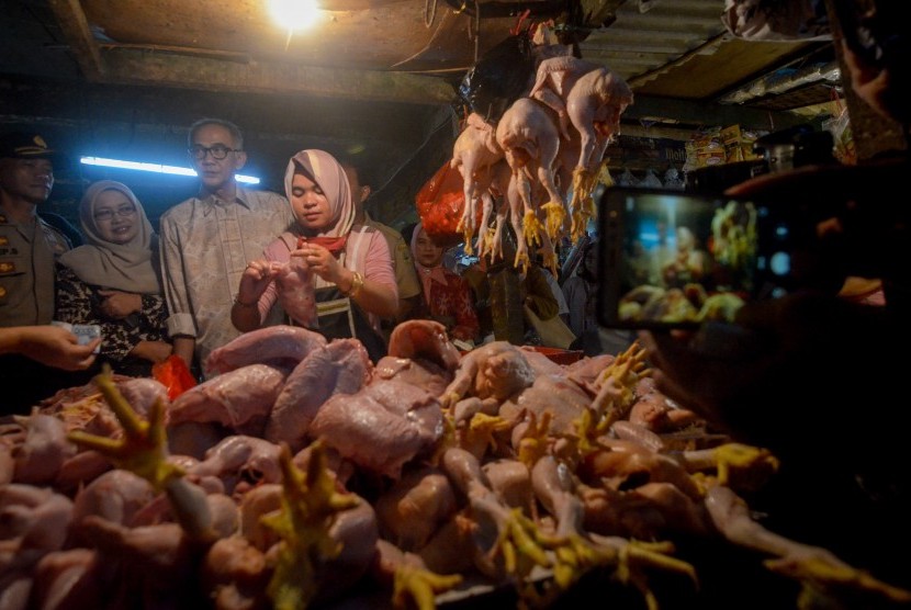Direktur Jenderal Perdagangan Dalam Neger Kementerian Perdagangan Oke Nurwan (ketiga kiri) berbincang dengan pedagang ayam (ilustrasi). Guna mengatasi mahalnya harga pakan ternak, Kemendag mengupayakan alternatif melalui impor bahan baku pakan ternak. 