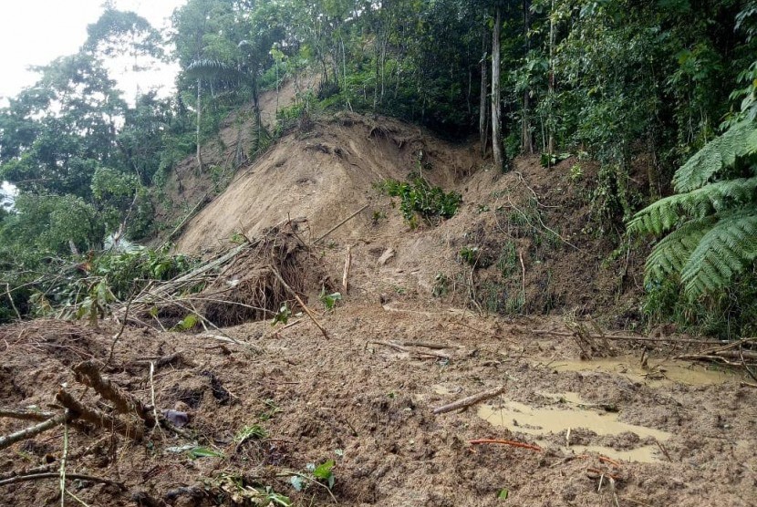 Ilustrasi banjir bandang di Solok Selatan.