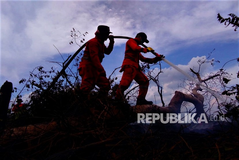 Personel Manggala Aqni melakukan pemadaman karhutla gambut di lahan masyarakat di Kecamatan Lalolae, Kolaka Timur, Sulawesi Tenggara, Selasa (3/12). (ilustrasi)
