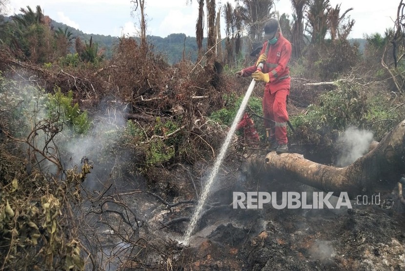 Pemerintah menjanjikan insentif bagi desa yang mampu cegah karhutla. Foto petugas berupaya memadamkan api karhutla, (ilustrasi).