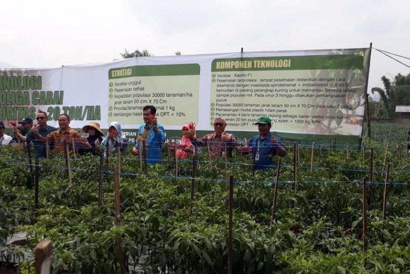 Plt Sekretaris Badan Litbang Pertanian Hardiyanto menghadiri bimtek dan temu lapang teknologi produksi lipat ganda (Proliga) cabai di Desa Margaluyu, Kecamatan Sukaraja, Kabupaten Sukabumi, Jumat (6/12).