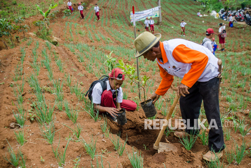 2.167 Hektare Lahan di Kota Serang Kritis. Seorang pelajar sekolah dasar membantu petani menanam bibit pohon di lahan kritis.