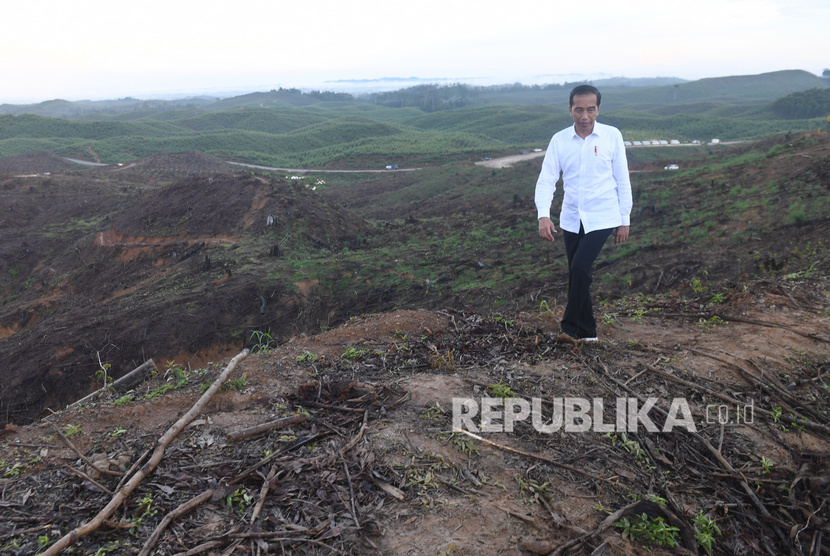 Presiden Joko Widodo meninjau lokasi rencana ibu kota baru di Sepaku, Penajam Paser Utara, Kalimantan Timur, Selasa (17/12/2019). 