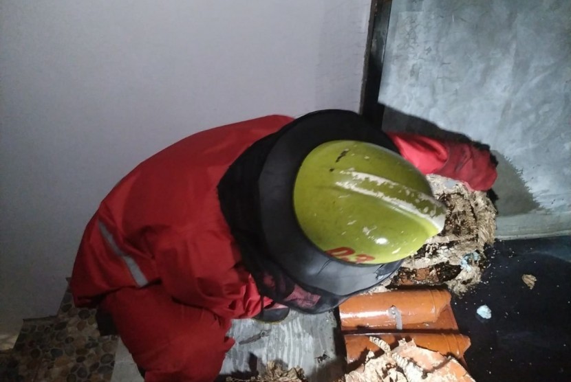 Petugas damkar mengevakuasi sarang tawon dari sebuah rumah warga. Tawon Vespa affinis sengatannya dapat membahayakan nyawa manusia.