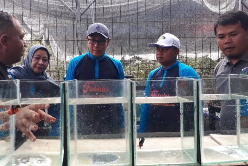 Wakil Gubernur Jabar Uu Ruzhanul Ulum didampingi Wali Kota Sukabumi Achmad Fahmi meresmikan pasar ikan hias di STA Bungbulang, Kota Sukabumi, Ahad (22/12).