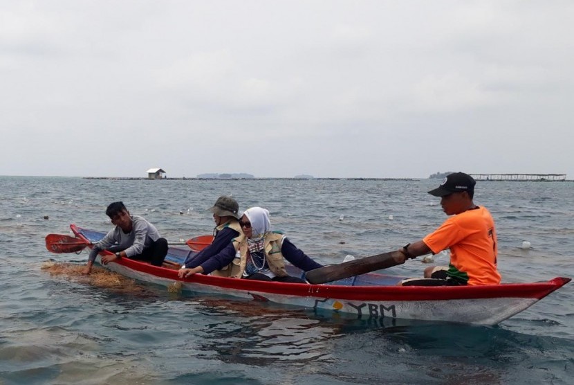 Ketua II Bidang Pemberdayaan YBM PLN, Martono bersama nelayan dan petani rumput laut di Kepulauan Seribu yang diberdayakan memanen rumput laut, Ahad (22/12).