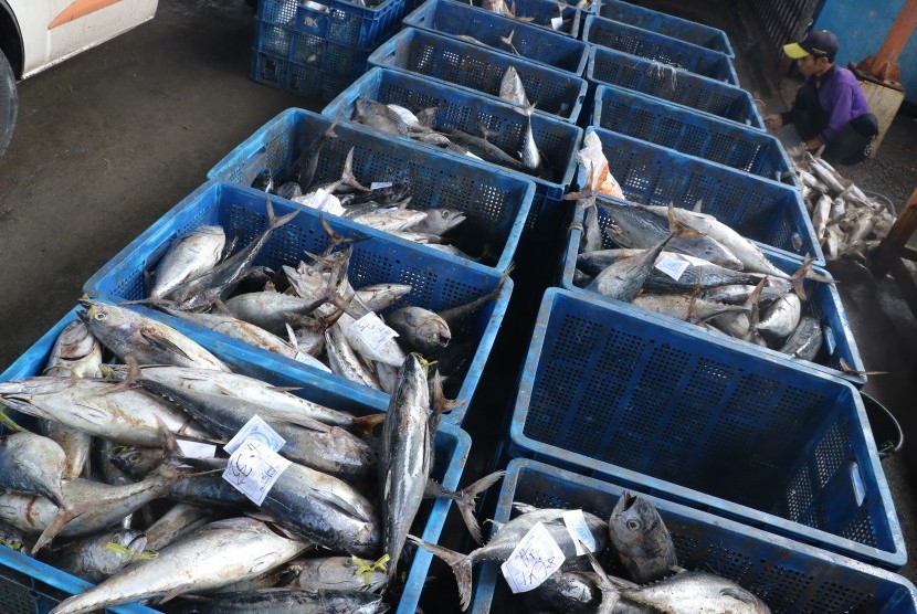 Pekerja mengumpulkan ikan di tempat pelelangan ikan Karangsong, Indramayu, Jawa Barat, Sabtu (28/12/2019).