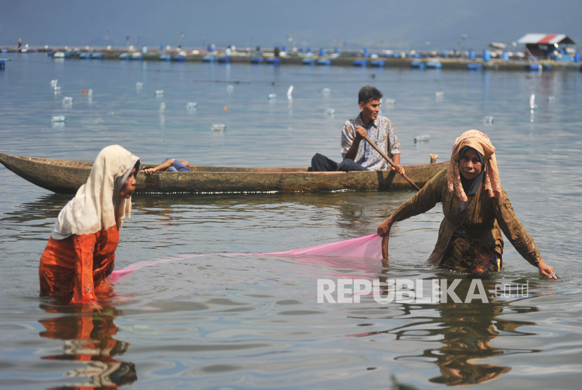Festival Menangkap Ikan Rinuak Lestarikan Danau Maninjau (ilustrasi).