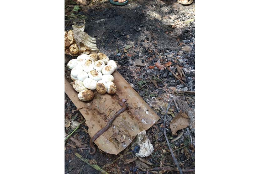 20 telur ular ditemukan di gudang rumah milik warga Kelurahan Padurenan, Kecamatan Mustikajaya,  Kota Bekasi. Ahad (8/11). 