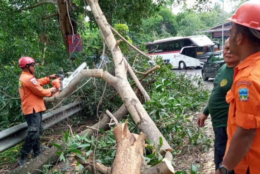 Petugas membersihkan pohon tumbang yang menutup akses jalan nasional di wilayah selatan Kabupaten Garut, tepatnya di Kampung Binuang, Desa Kesamenah, Kecamatan Kersamenah, Rabu (1/1).