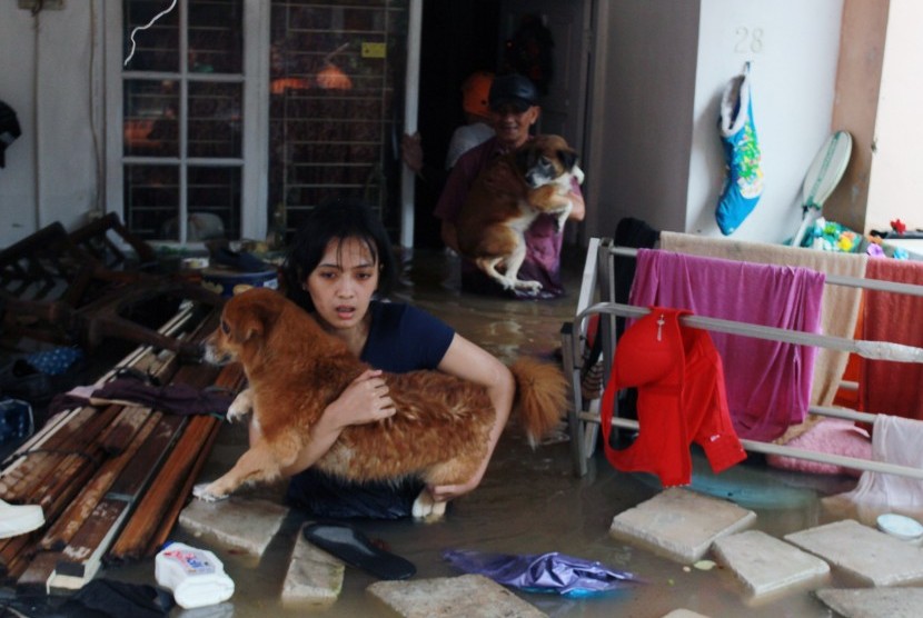 Warga menyelamatkan anjing peliharaannya dari dalam rumahnya yang terendam banjir di Perumaha Puri Bintaro Indah, Ciputat, Tangerang Selatan, Banten, Rabu (1/1/2020).