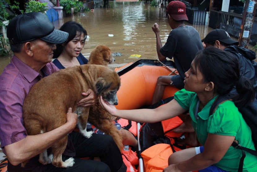 Apa Hukum Keluarga Muslim Memelihara Anjing?. Warga menyelamatkan anjing peliharaannya dari dalam rumahnya yang terendam banjir. Foto ilustrasi.