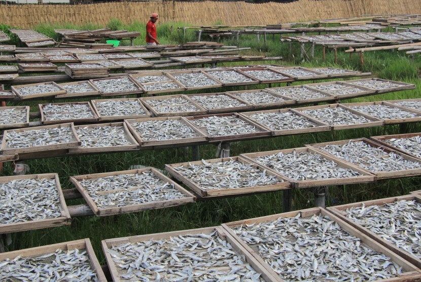 Ikan asin. Polisi menyita 2,5 ton ikan asin dari tempat pengolahan di Lekok, Kabupaten Pasuruan, Jawa Timur.