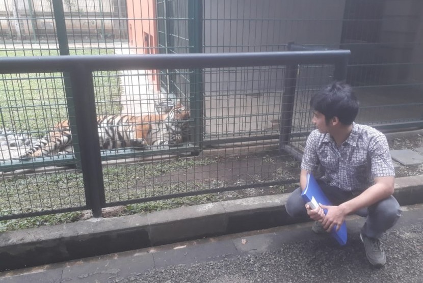 Video Youtube Alshad Ahmad (24), sepupu artis Raffi Ahmad tentang Harimau Benggala bernama Eshan viral dan ditonton lebih dari 2,5 juta netizen. Berbagai komentar positif dari netizen bermunculan di kolom komentar bahkan banyak komentar negatif yang mempertanyakan izin Alshad Ahmad untuk memelihara harimau.