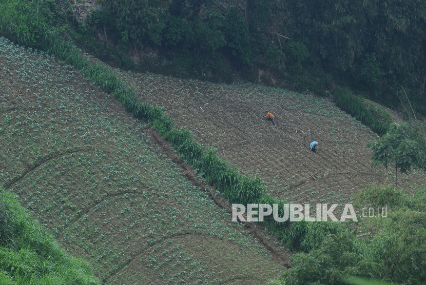Seorang petani mengolah lahan pertanian yang berada di lereng Gunung Merbabu, Selo, Boyolali, Jawa Tengah, Senin (6/1/2020). Kementerian Pertanian menyebutkan setiap tahun sebanyak 60 ribu hektare lahan menyusut.