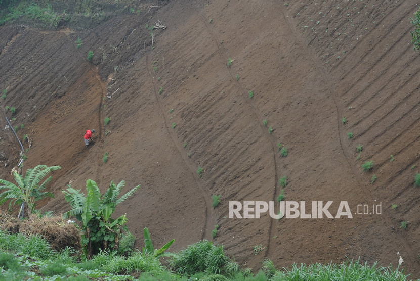 Seorang petani mengolah lahan pertanian yang berada di lereng Gunung Merbabu, Selo, Boyolali, Jawa Tengah, Senin (6/1/2020).