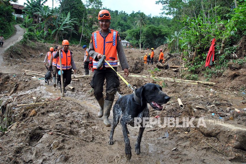 Anggota Satuan K-9 Polda Jabar membawa anjing pelacak untuk mencari korban tanah longsor di Kampung Sinar Harapan, Desa Harkat Jaya, Kecamatan Sukajaya, Kabupaten Bogor, Jawa Barat, Selasa (7/1/2020).