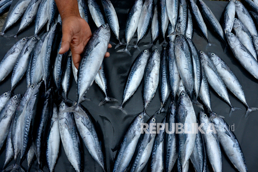 Permintaan tinggi membuat harga ikan mengalami kenaikan di Indramayu (Foto: ilustrasi pelelangan ikan)