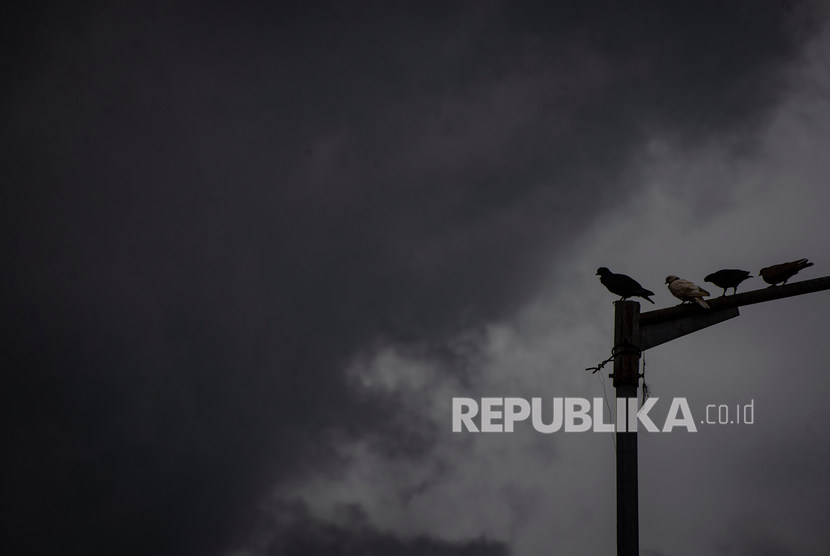 Empat burung merpati (Columbidae) bertengger di atas tiang lampu dengan latar belakang awan mendung. Ilustrasi