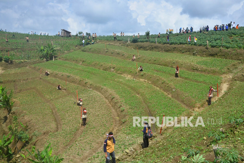 Sejumlah warga menanam pohon dikawasan pegunungan Patiayam Desa Klaling, Jekulo, Kudus, Jawa Tengah, Rabu (15/1/2020).