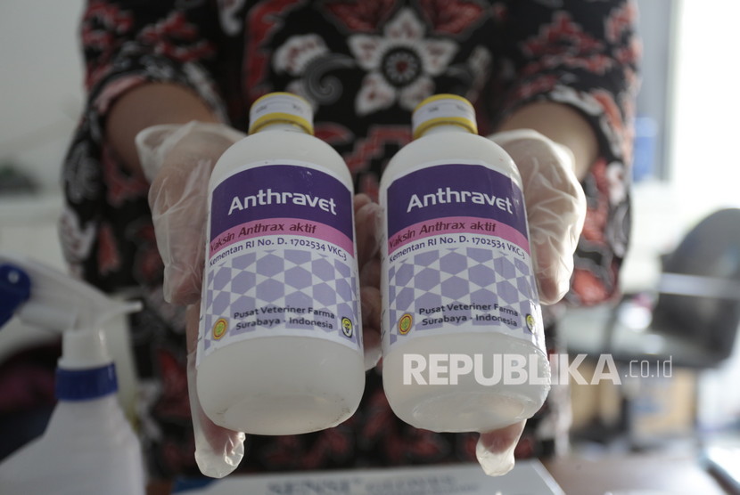 Petugas menyiapkan vaksin antraks di kantor Dinas Pertanian dan Pangan Kabupaten Gunungkidul, Wonosari, Gunungkidul, DI Yogyakarta, Jumat (17/1/2020).