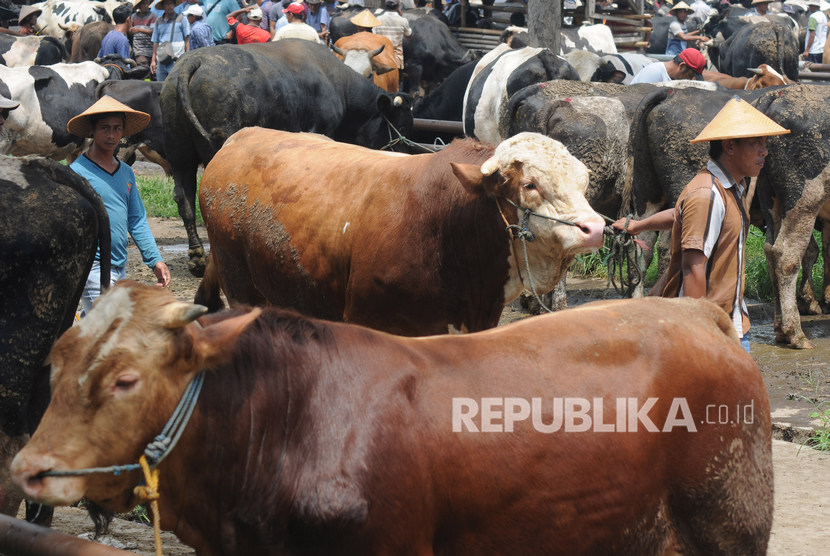 Pemerintah Kabupaten (Pemkab) Boyolali di Provinsi Jawa Tengah masih memperpanjang waktu penutupan lima pasar hewan hingga batas waktu yang belum ditentukan untuk mengendalikan penyebaran penyakit mulut dan kuku (PMK).