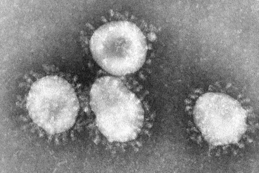 Virus Corona. Komisi Kesehatan Nasional China (NHC) menyatakan virus corona dapat menyebar meski dalam periode inkubasi.