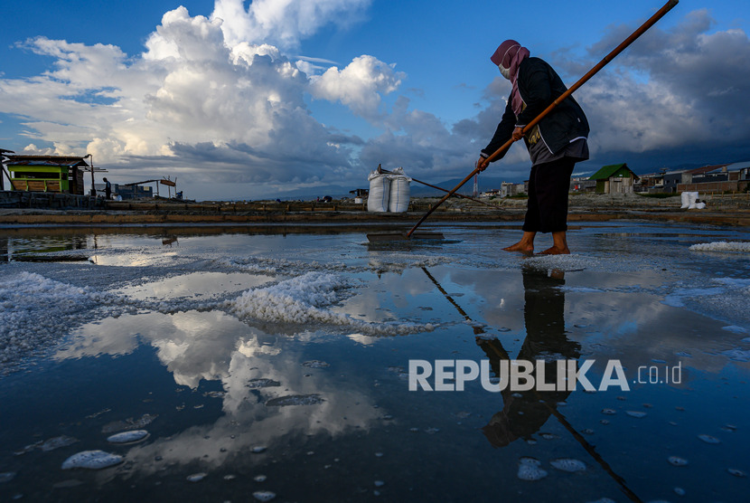Petani memanen garam, di Palu, Sulawesi Tengah, Jumat (24/1/2020).