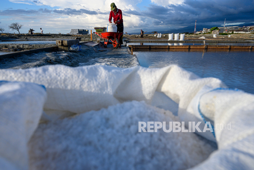 Petani mengangkut garam yang baru saja dipanen di Palu, Sulawesi Tengah, Jumat (24/1). Asosiasi Industri Pengguna Garam Indonesia (AIPGI) menyatakan siap untuk meningkatkan penggunaan garam lokal sebagai bahan baku produksi. 
