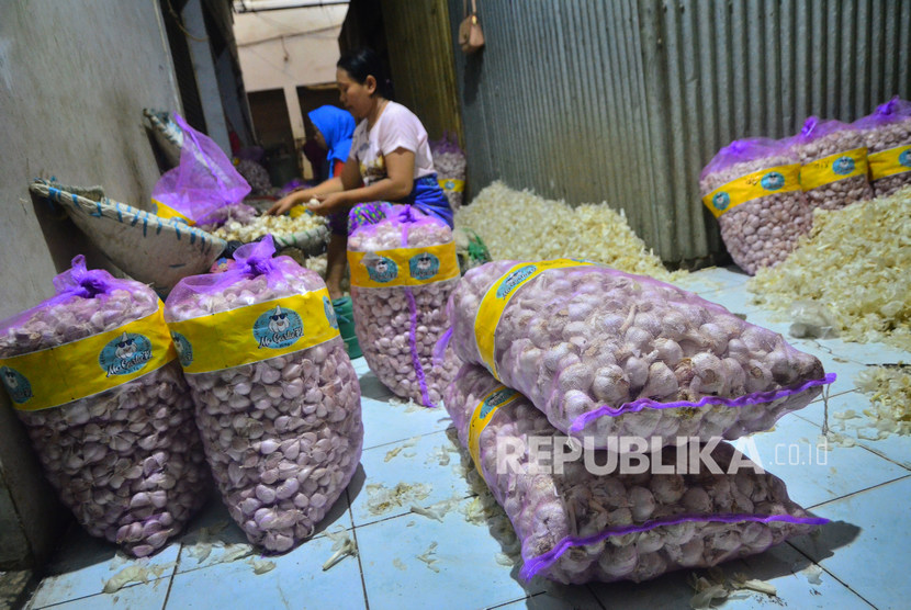 Pekerja menyortir bawang putih di Pasar Bitingan, Kudus, Jawa Tengah, Senin (3/2/2020).