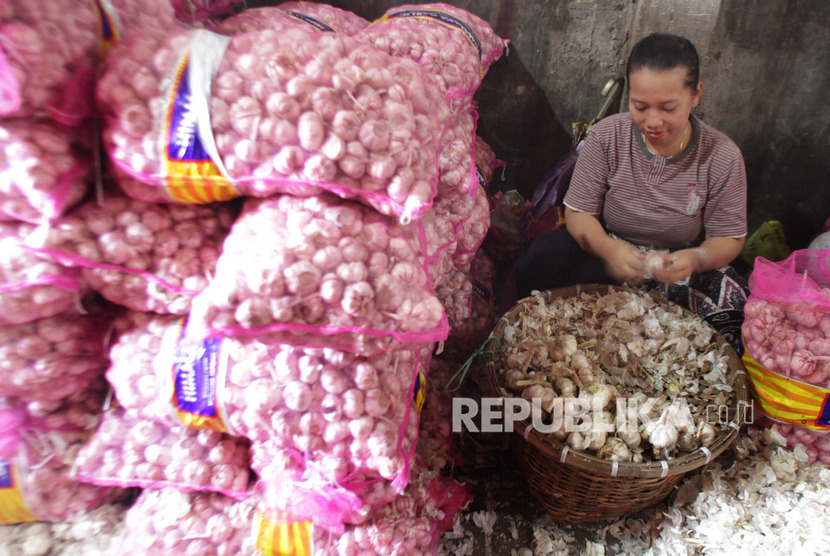 Pekerja mengupas bawang putih impor dari China sebelum dijual ke pasar di Gudang bawang di Malang, Jawa Timur, Selasa (4/2/2020).