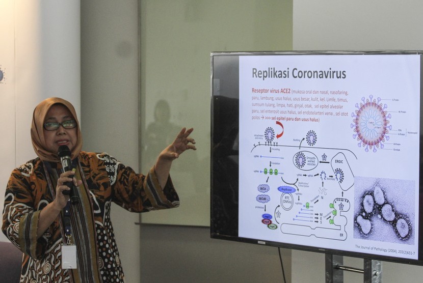 Konsultan Virologi RSUI Dr Fera Ibrahim memberikan pemaparan saat sosialisasi perkembangan virus corona di Rumah Sakit Universitas Indonesia, Depok, Jawa Barat, Selasa (4/2/2020).