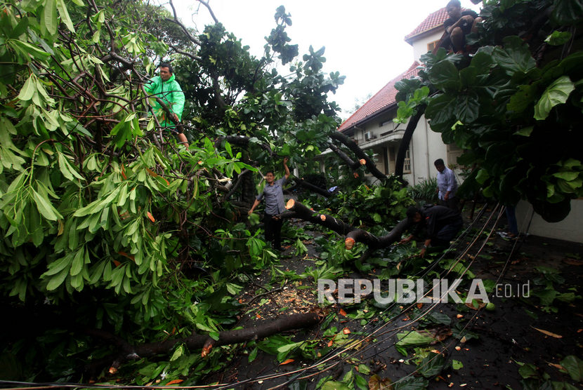 Warga membersihkan pohon yang tumbang akibat angin kencang di Kawasan Kota Baru, Yogyakarta, Jumat (14/2/2020). 