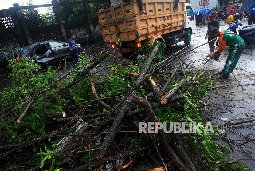 Petugas membersihkan pohon yang tumbang akibat angin kencang di Kawasan Kota Baru, Yogyakarta.