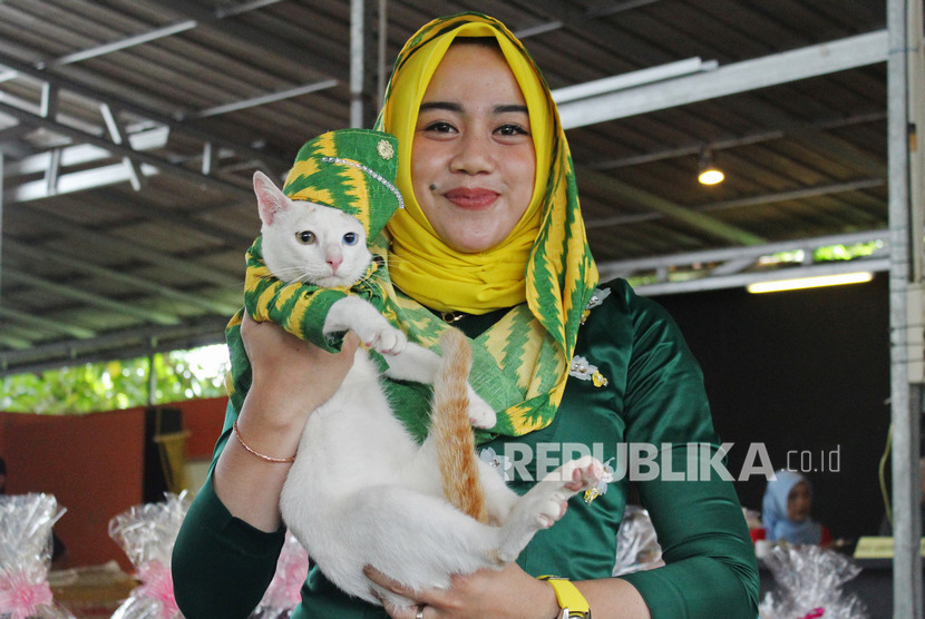 Dekranasda Pontianak Beri Pelatihan Tenun Ikat Corak Insang. Seekor kucing bersama pemiliknya mengenakan kostum kain tenun corak insang saat mengikuti peragaan busana di Festival Kucing Kampung di Pontianak, Kalimantan Barat, Ahad (16/2/2020).