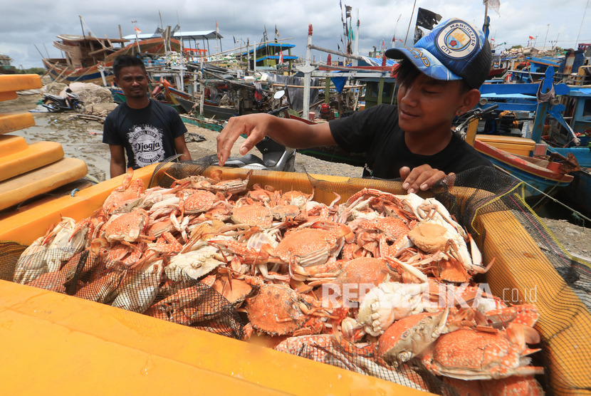 Nelayan mengumpulkan rajungan hasil tangkapan di Karangsong, Indramayu, Jawa Barat, Selasa (18/2/2020).