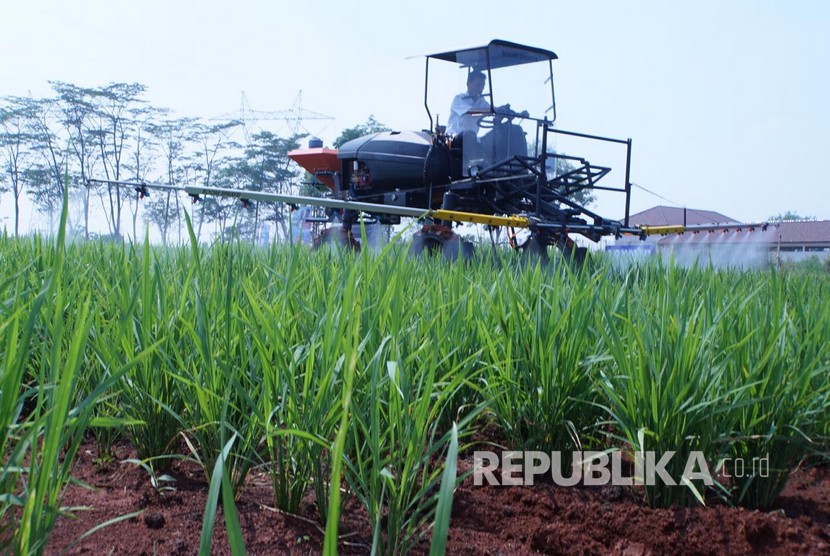 Menteri Pertanian Syahrul Yasin Limpo mengatakan peringatan Hari Krida Pertanian yang jatuh pada 21 Juni 2020 menjadi momentum bergesernya pola pertanian tradisional menuju pertanian modern.