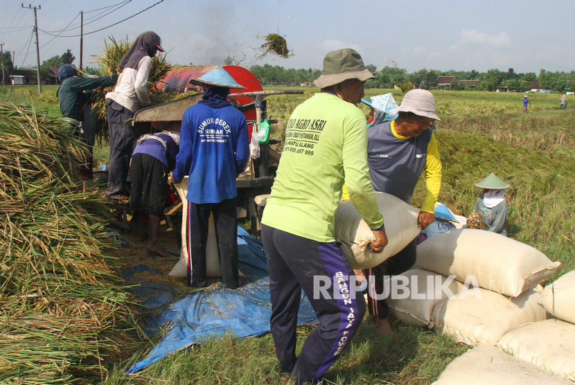 Petani memanen padi di salah satu kawasan lumbung padi di Ngawi, Jawa Timur, Jumat (21/2/2020).