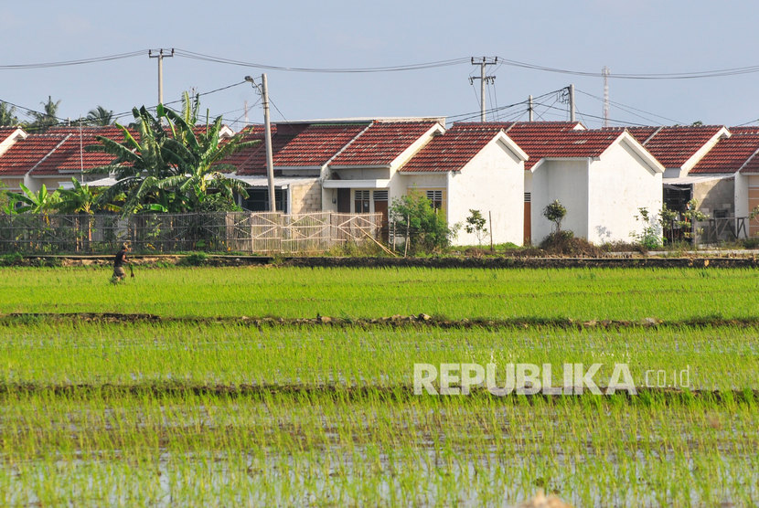 Petani beraktivitas di sekitar perumahan subsidi, Cikarang, Kabupaten Bekasi, Jawa Barat, Jum