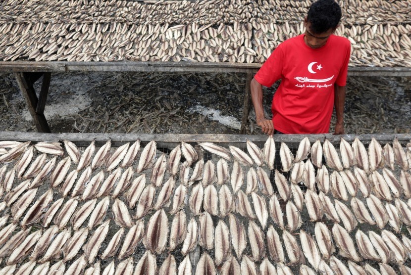 Warga penjemuran ikan tongkol yang telah dibersihkan untuk diolah menjadi ikan kayu (keumamah) di salah satu tempat pengolahan ikan Keumamah Desa Lampulo, Banda Aceh. (ilustrasi)