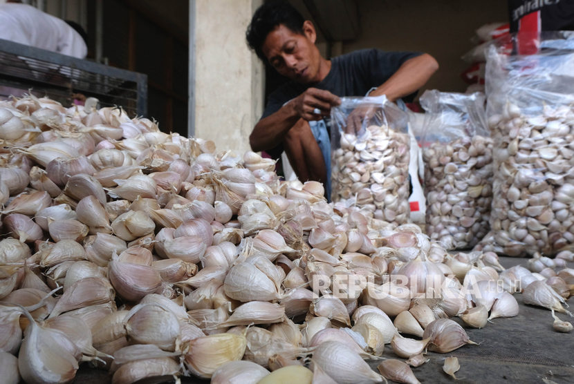 Pekerja menyortir bawang putih asal China di pusat jual beli bawang kompleks pasar Legi Parakan, Temanggung, Jateng, Selasa (25/2) Bawang putih memberikan andil inflasi 0,09 persen. 