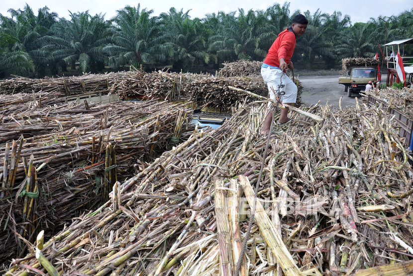 Pekerja menata tumpukan tebu untuk digiling di pabrik gula Sei Semayang PTPN II Kabupaten Deli Serdang, Sumatra Utara (ilustrasi). PTPN II  menempuh pendekatan secara persuasif dan solusi damai dengan melakukan dialog dalam menyelesaikan sengketa lahan.