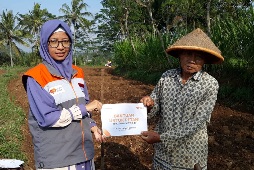 Rumah Zakat memberikan bantuan modal usaha budidaya ubi manis di Dusun Campurejo Desa Geblog, Kecamatan Kaloran.