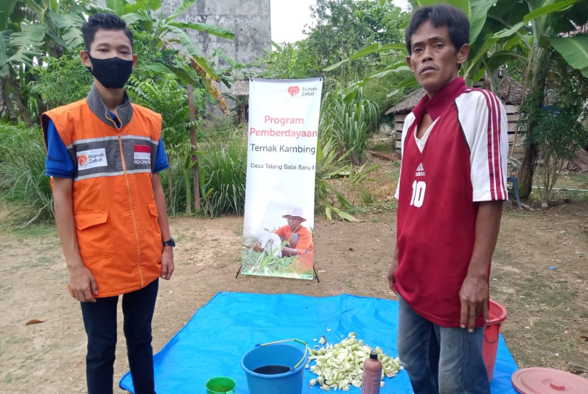 Pakan fermentasi batang pisang mudahkan petani sediakan pakan.